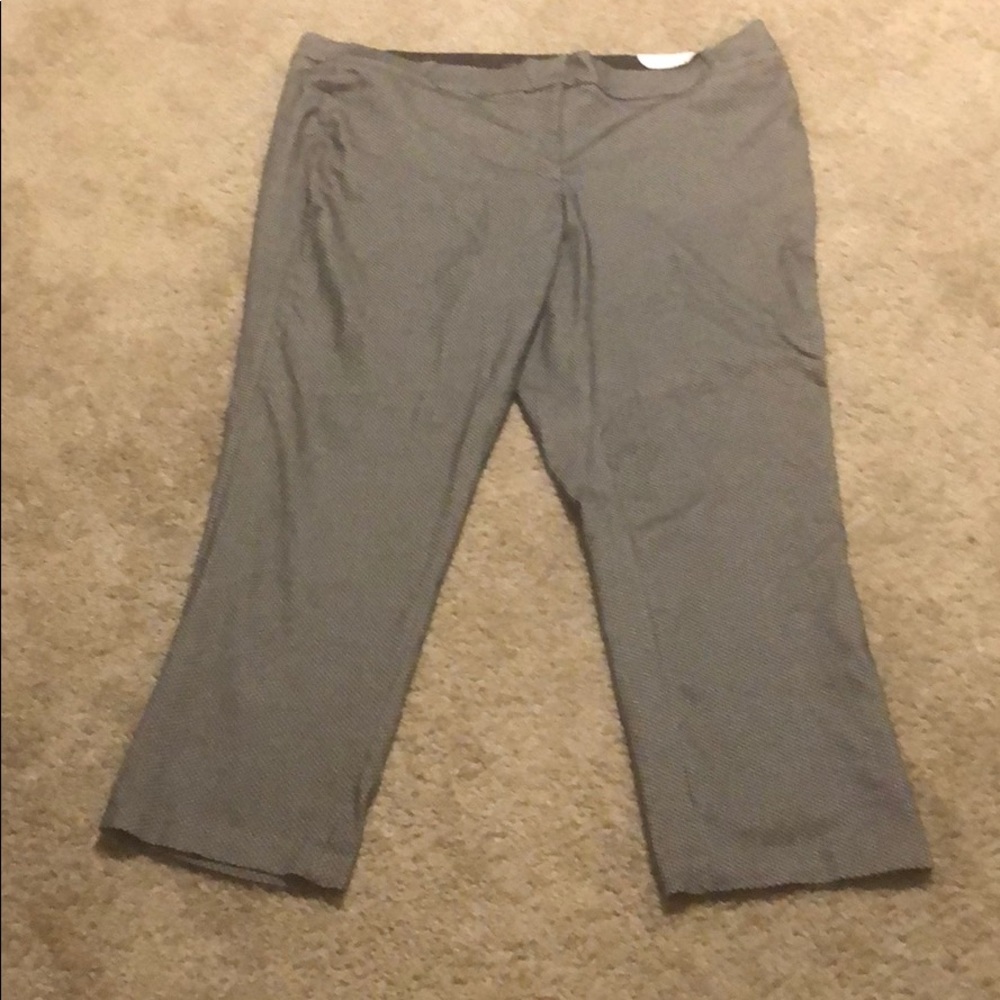 The Allie straight leg plus size pant.